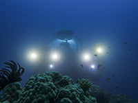 Click here for larger 72dpi version of this image